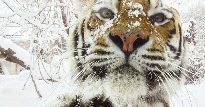 10 Nederlandse plaatsnamen die vet dom klinken in het Engels (deel 2)