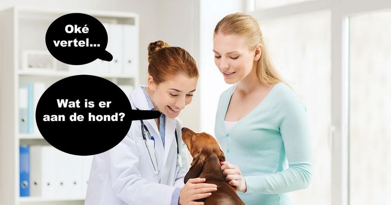 22 vet grappige roasts om je vrijdag mee te beginnen